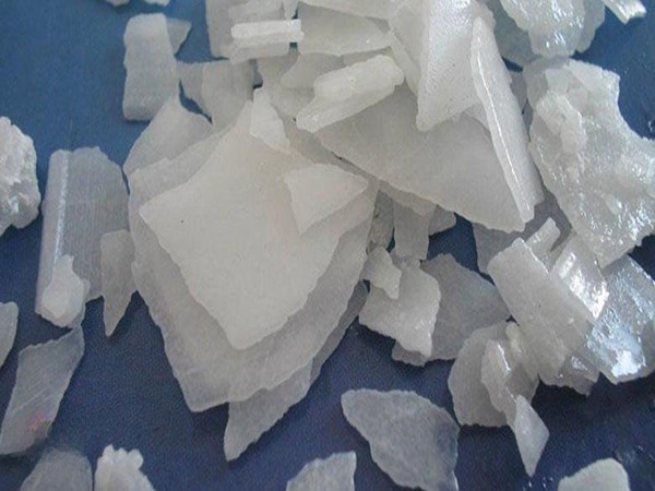 تصویر 3 از خرید سود پرک گوهر + قیمت فروش استثنایی